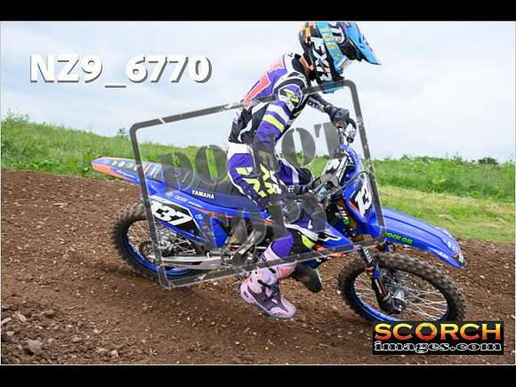 Experts-371