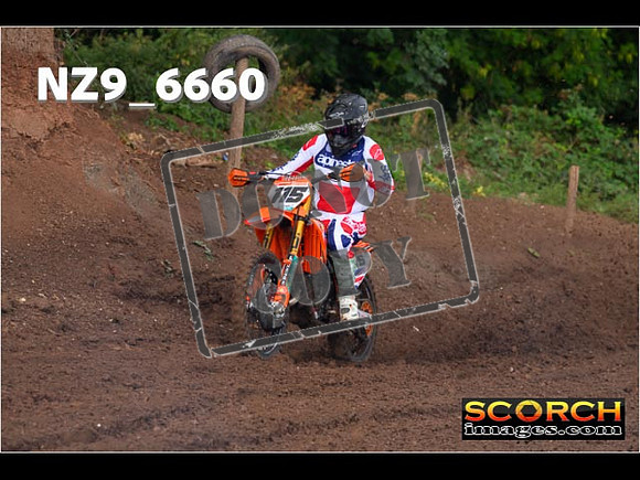 Red- Over 60-040