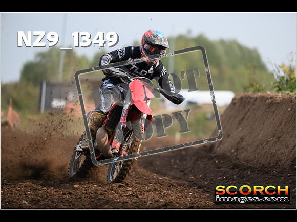 Experts-055