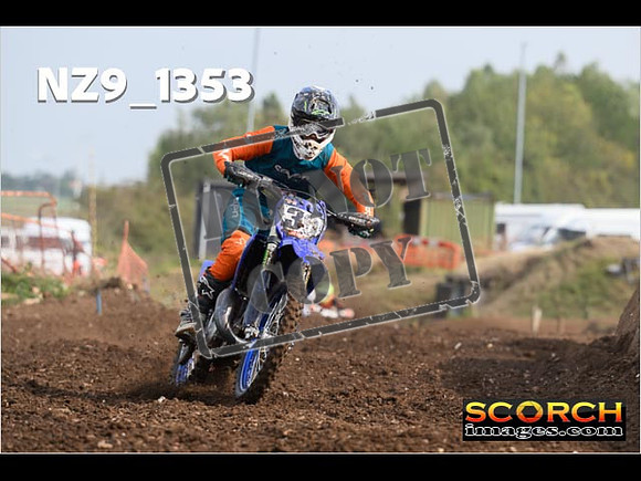 Experts-059