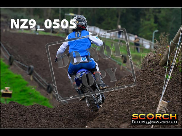 Experts-061
