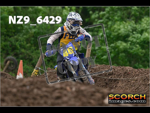 Experts-241