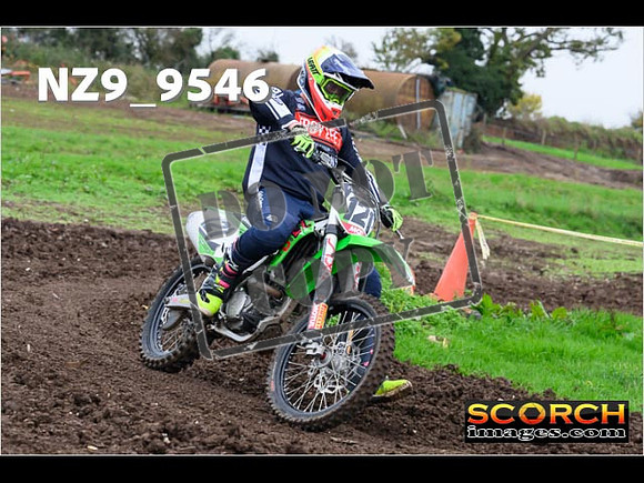 IntersGreen-087