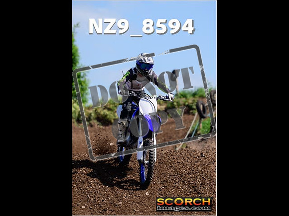 IntersGreenOrange-260