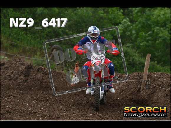 Experts-229
