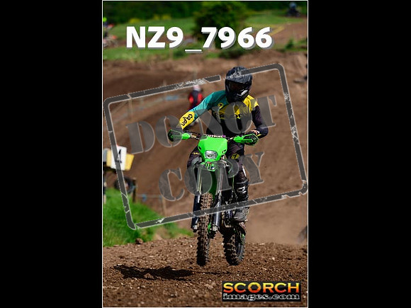 IntersGreenOrange-167