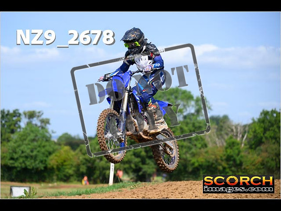 Novice-137