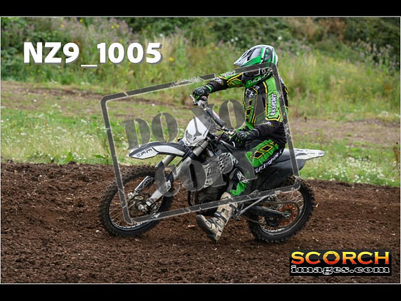 IntersGreen-022