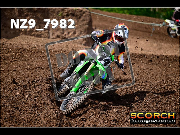 IntersGreenOrange-182