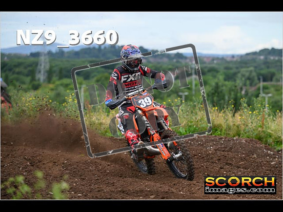 Experts-068