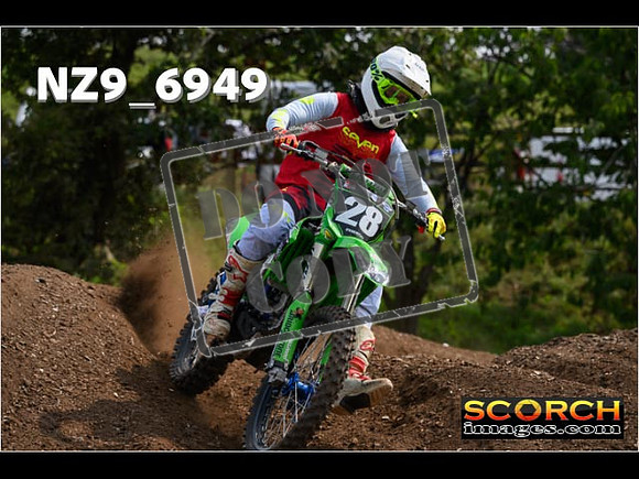 Experts-347