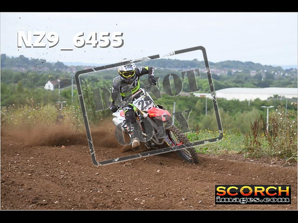 Experts-169
