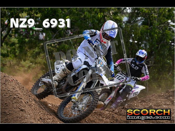 Experts-329
