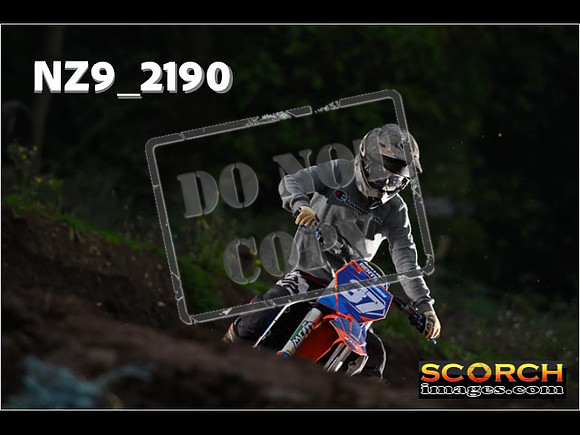 Experts-193