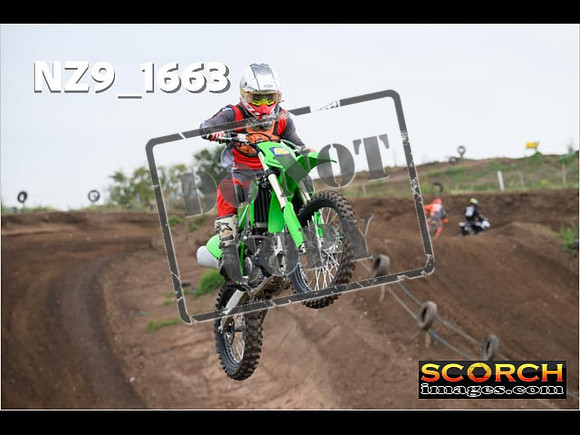 IntersGreenOrange-069