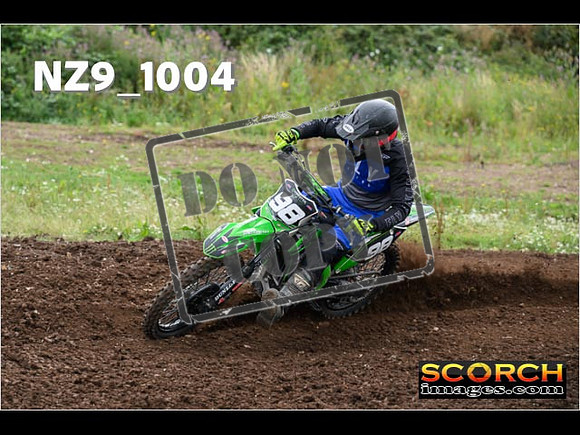 IntersGreen-021