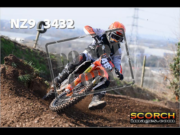 Experts-115