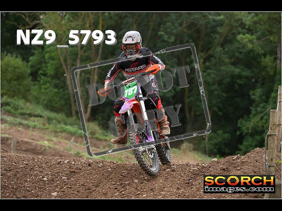 Experts-261