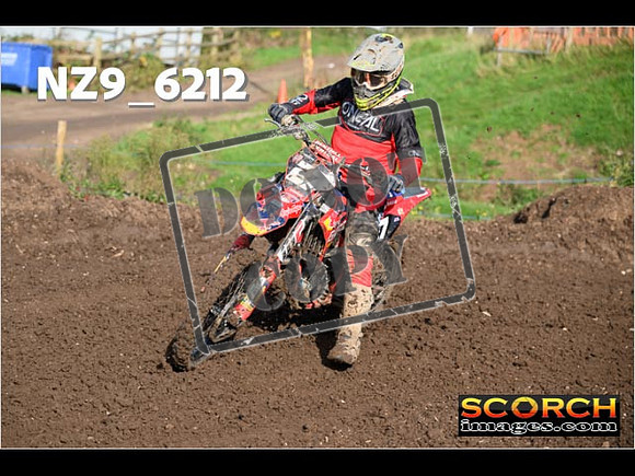 Experts-156