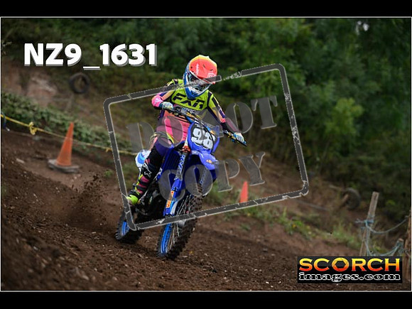 IntersGreenOrange-037