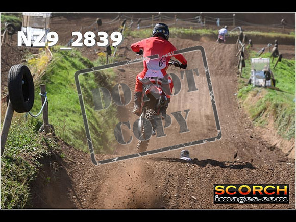 Experts-136