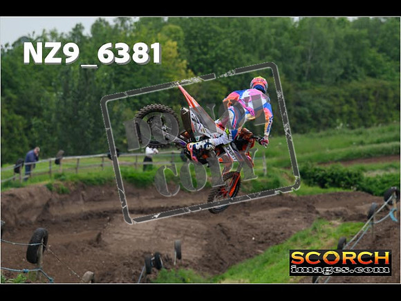 Experts-194