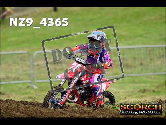 Auto 65's-030