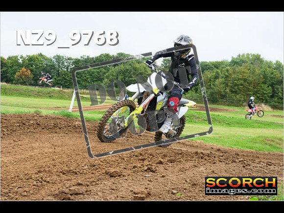 Novice-155