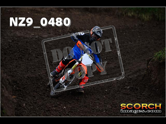 Experts-036