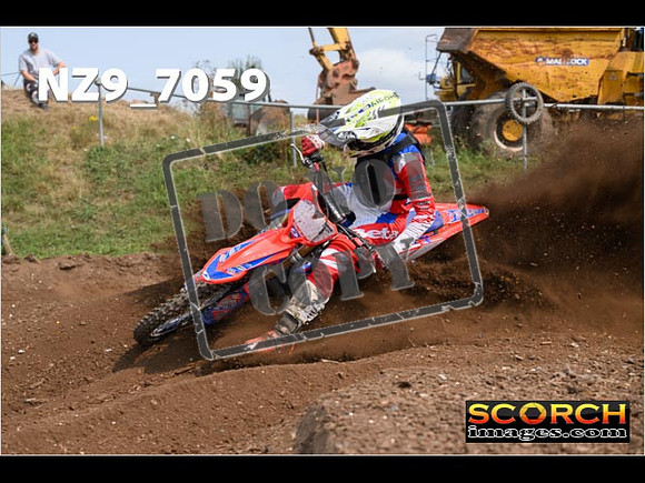 Experts-455