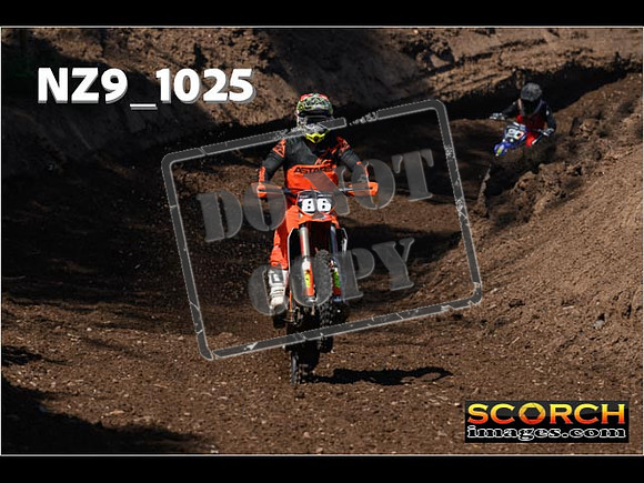 Experts-103