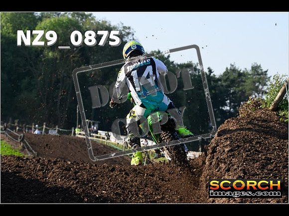 Experts-090