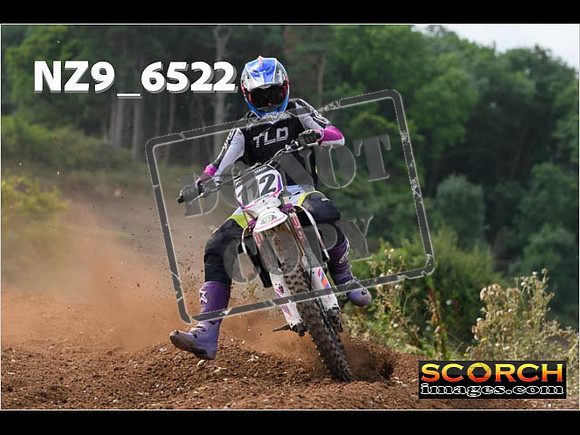 Experts-231