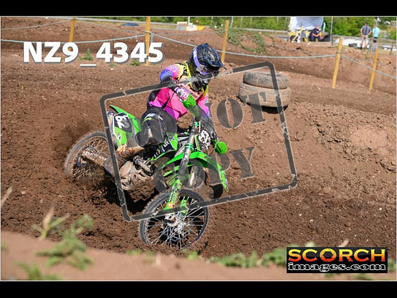 Experts-077