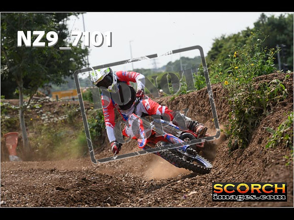 Experts-492