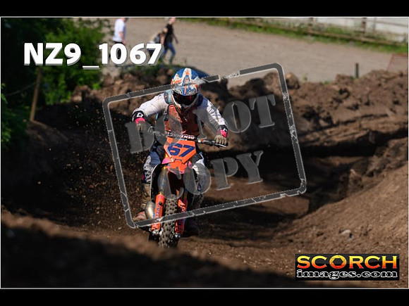 Experts-145