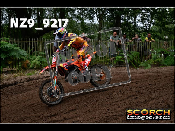 MX1-176
