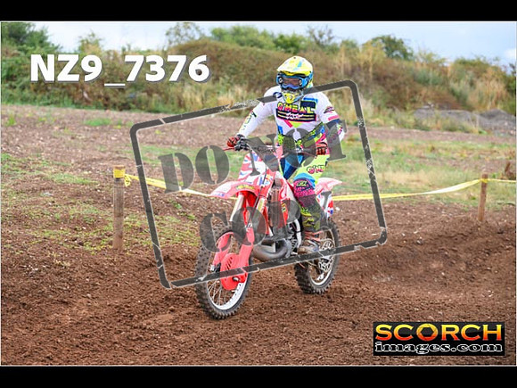 Red- Over 60-260