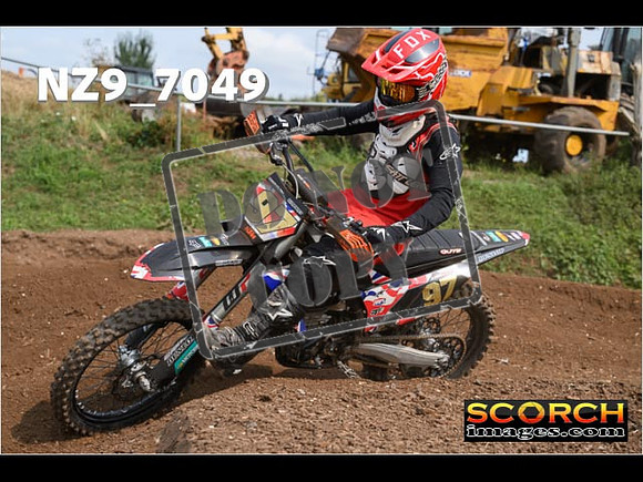 Experts-445