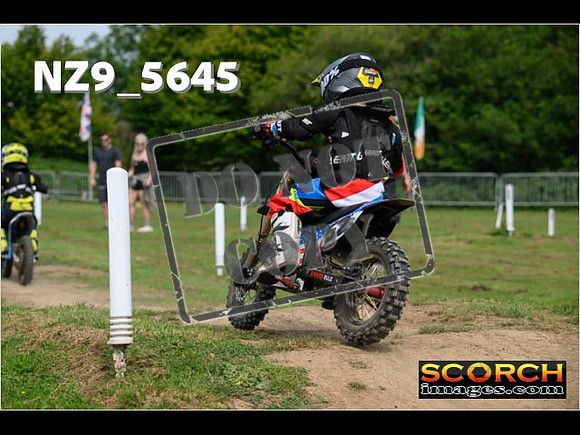 PeeWee Track-026