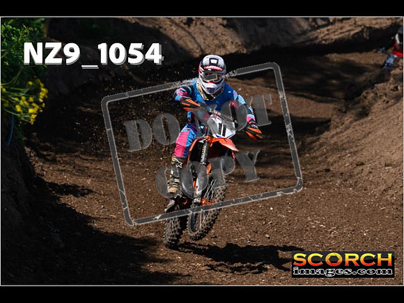 Experts-132