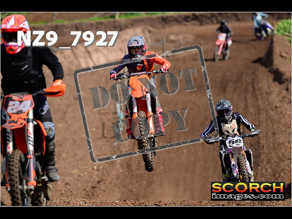IntersGreenOrange-128
