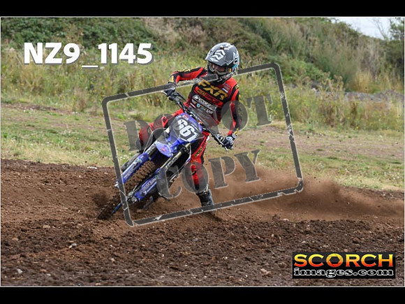 Experts-091