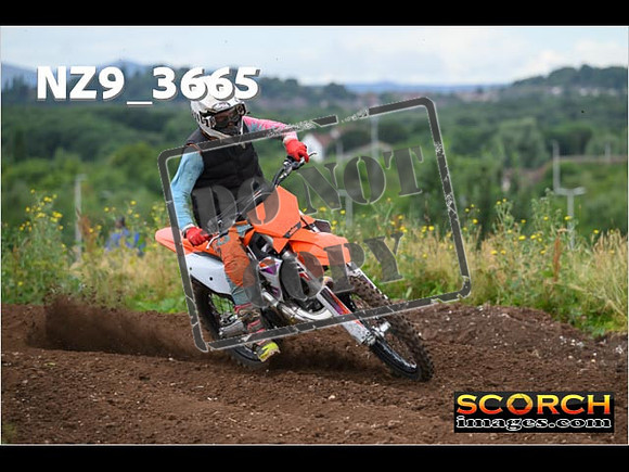 Experts-073
