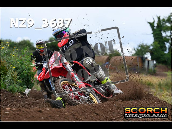 Experts-095