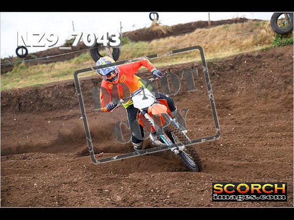 Green-Over 40-034
