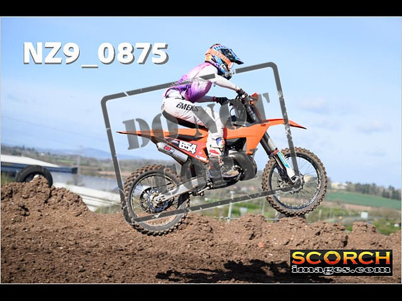 Experts-058