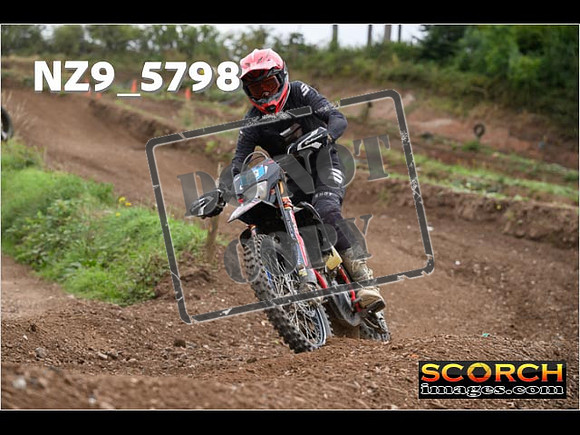 Experts-266
