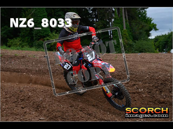 Experts-218