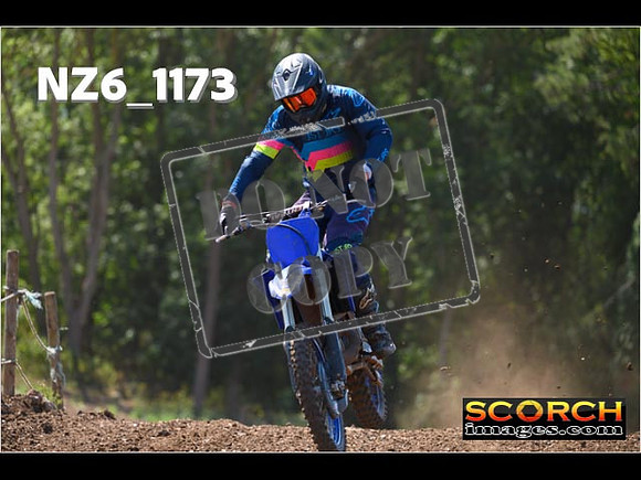 Experts-141